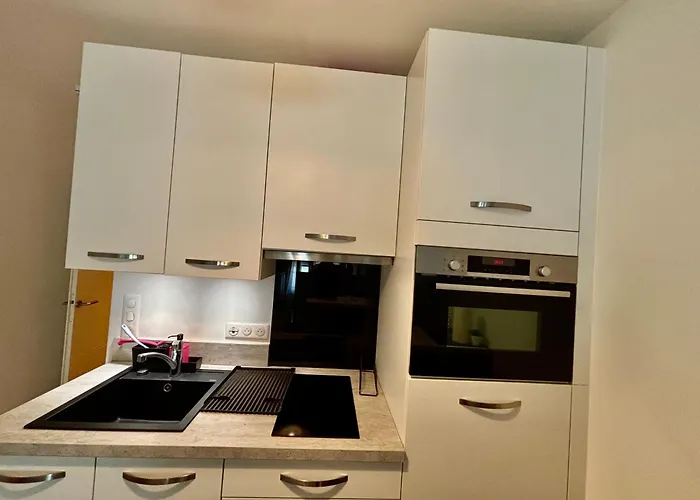 Apartment Montparnasse Saint Jacques Paris